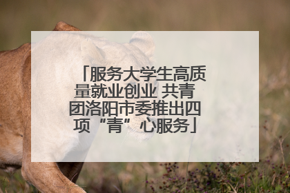 服务大学生高质量就业创业 共青团洛阳市委推出四项“青”心服务