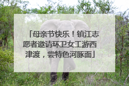 母亲节快乐！镇江志愿者邀请环卫女工游西津渡，尝特色河豚面