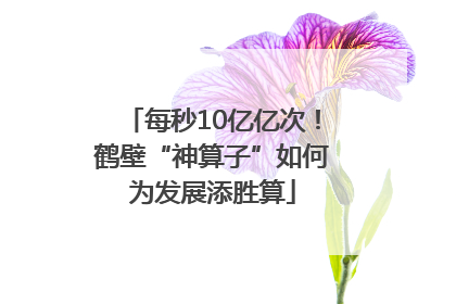 每秒10亿亿次！鹤壁“神算子”如何为发展添胜算