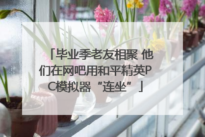 毕业季老友相聚 他们在网吧用和平精英PC模拟器“连坐”