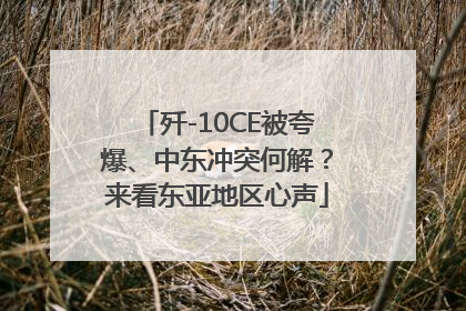 歼-10CE被夸爆、中东冲突何解？来看东亚地区心声