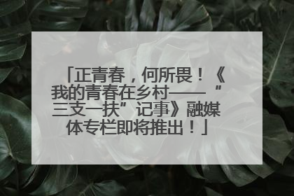 正青春，何所畏！《我的青春在乡村——“三支一扶”记事》融媒体专栏即将推出！