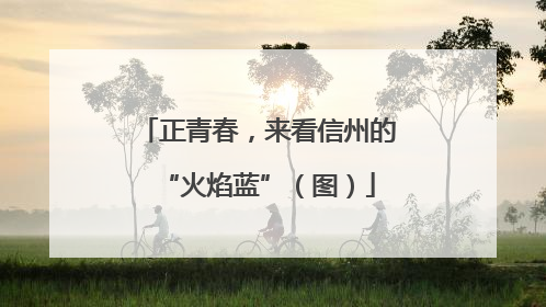 正青春，来看信州的“火焰蓝”（图）