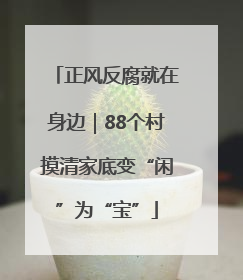 正风反腐就在身边｜88个村摸清家底变“闲”为“宝”