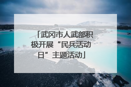 武冈市人武部积极开展“民兵活动日”主题活动