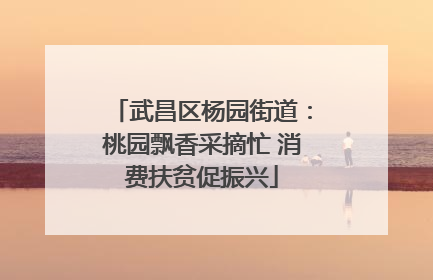 武昌区杨园街道：桃园飘香采摘忙 消费扶贫促振兴
