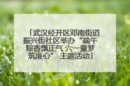 武汉经开区邓南街道振兴街社区举办“端午粽香飘正气 六一童梦筑廉心” 主题活动