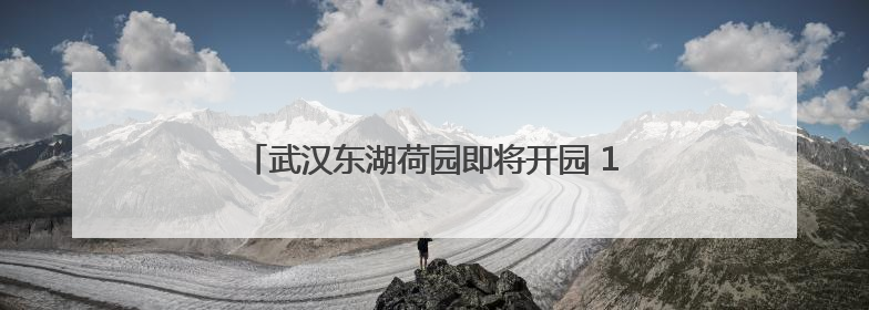 武汉东湖荷园即将开园 1200余种荷花竞相绽放