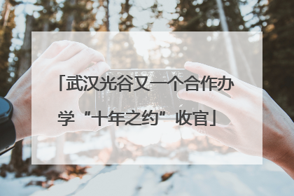 武汉光谷又一个合作办学“十年之约”收官