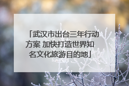 武汉市出台三年行动方案 加快打造世界知名文化旅游目的地