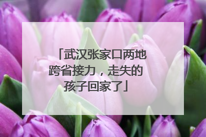 武汉张家口两地跨省接力，走失的孩子回家了