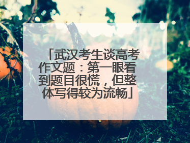 武汉考生谈高考作文题：第一眼看到题目很慌，但整体写得较为流畅