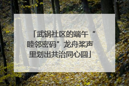 武锅社区的端午“睦邻密码”龙舟桨声里划出共治同心圆