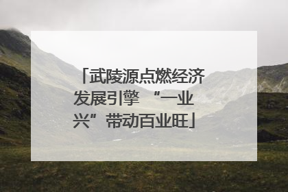 武陵源点燃经济发展引擎 “一业兴”带动百业旺