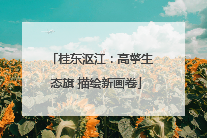 桂东沤江：高擎生态旗 描绘新画卷