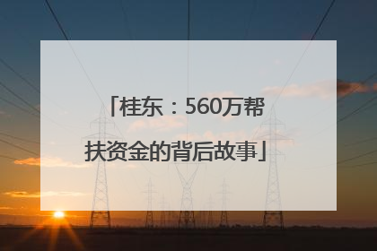 桂东：560万帮扶资金的背后故事