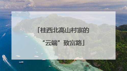 桂西北高山村寨的“云端”致富路
