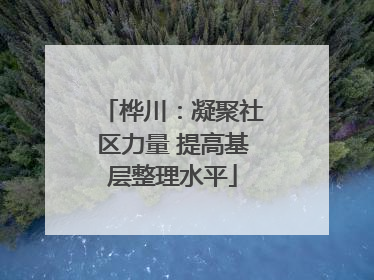 桦川：凝聚社区力量 提高基层整理水平