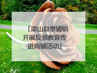 梁山县拳铺镇开展反邪教宣传进商铺活动
