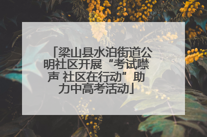 梁山县水泊街道公明社区开展“考试噤声 社区在行动”助力中高考活动