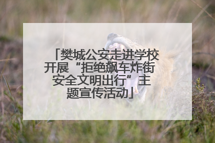 樊城公安走进学校开展“拒绝飙车炸街 安全文明出行”主题宣传活动