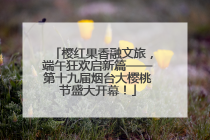 樱红果香融文旅，端午狂欢启新篇——第十九届烟台大樱桃节盛大开幕！
