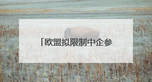 欧盟拟限制中企参与医疗器械公共采购 商务部回应