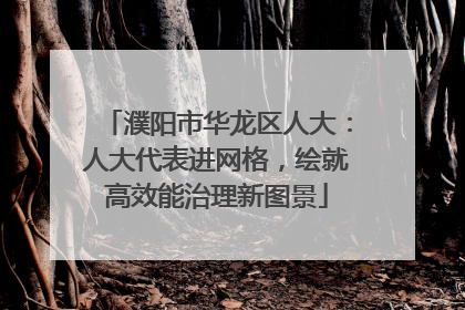 濮阳市华龙区人大：人大代表进网格，绘就高效能治理新图景