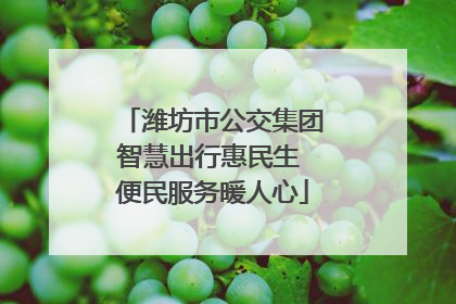 潍坊市公交集团智慧出行惠民生 便民服务暖人心