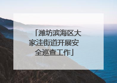 潍坊滨海区大家洼街道开展安全巡查工作