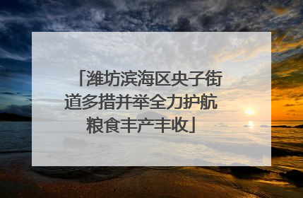 潍坊滨海区央子街道多措并举全力护航粮食丰产丰收