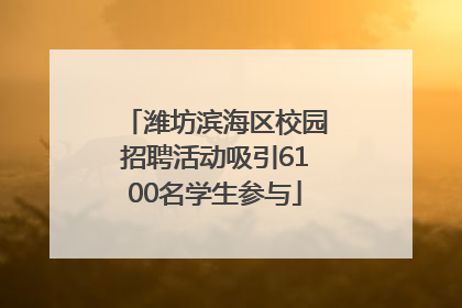 潍坊滨海区校园招聘活动吸引6100名学生参与