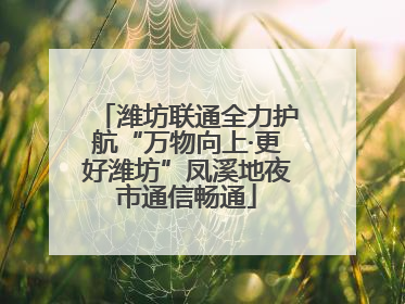 潍坊联通全力护航“万物向上·更好潍坊”凤溪地夜市通信畅通