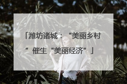 潍坊诸城：“美丽乡村”催生“美丽经济”