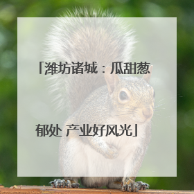 潍坊诸城：瓜甜葱郁处 产业好风光