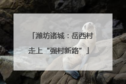 潍坊诸城：岳西村走上“强村新路”