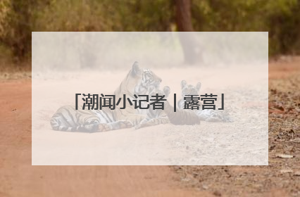 潮闻小记者｜露营