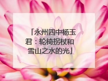 永州四中杨玉君：轮椅拐杖和雪山之水的光