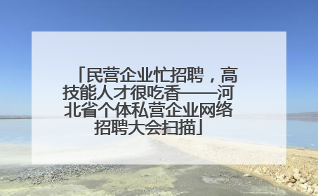 民营企业忙招聘，高技能人才很吃香——河北省个体私营企业网络招聘大会扫描