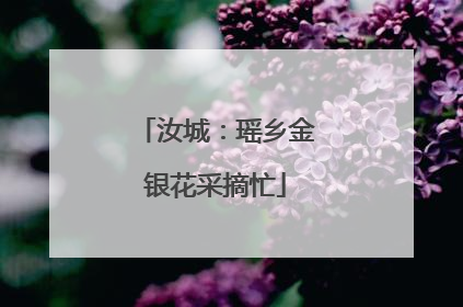 汝城：瑶乡金银花采摘忙