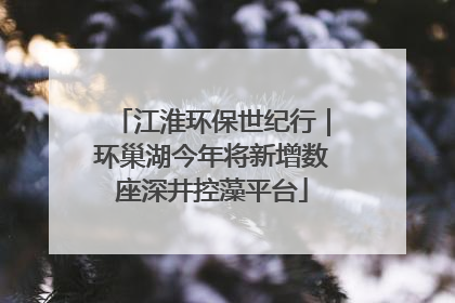 江淮环保世纪行｜环巢湖今年将新增数座深井控藻平台