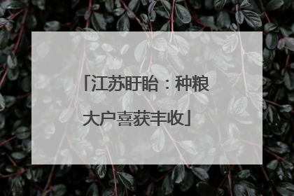 江苏盱眙：种粮大户喜获丰收