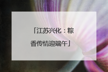 江苏兴化：粽香传情迎端午