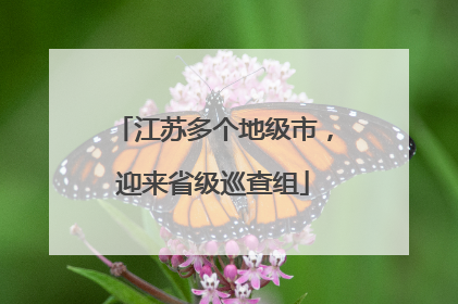 江苏多个地级市，迎来省级巡查组