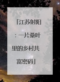 江苏射阳：一片桑叶里的乡村共富密码