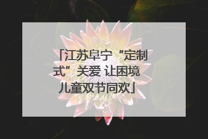 江苏阜宁“定制式”关爱 让困境儿童双节同欢