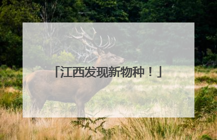 江西发现新物种！