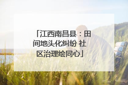 江西南昌县：田间地头化纠纷 社区治理绘同心