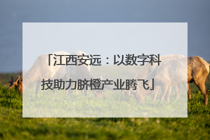 江西安远：以数字科技助力脐橙产业腾飞