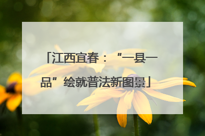 江西宜春：“一县一品”绘就普法新图景